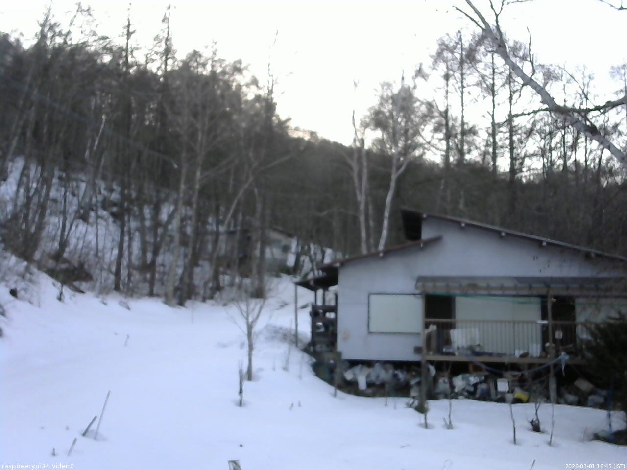 長野県菅平高原 ゆたか山荘 西側(坂上) 2026/03/01 16:45