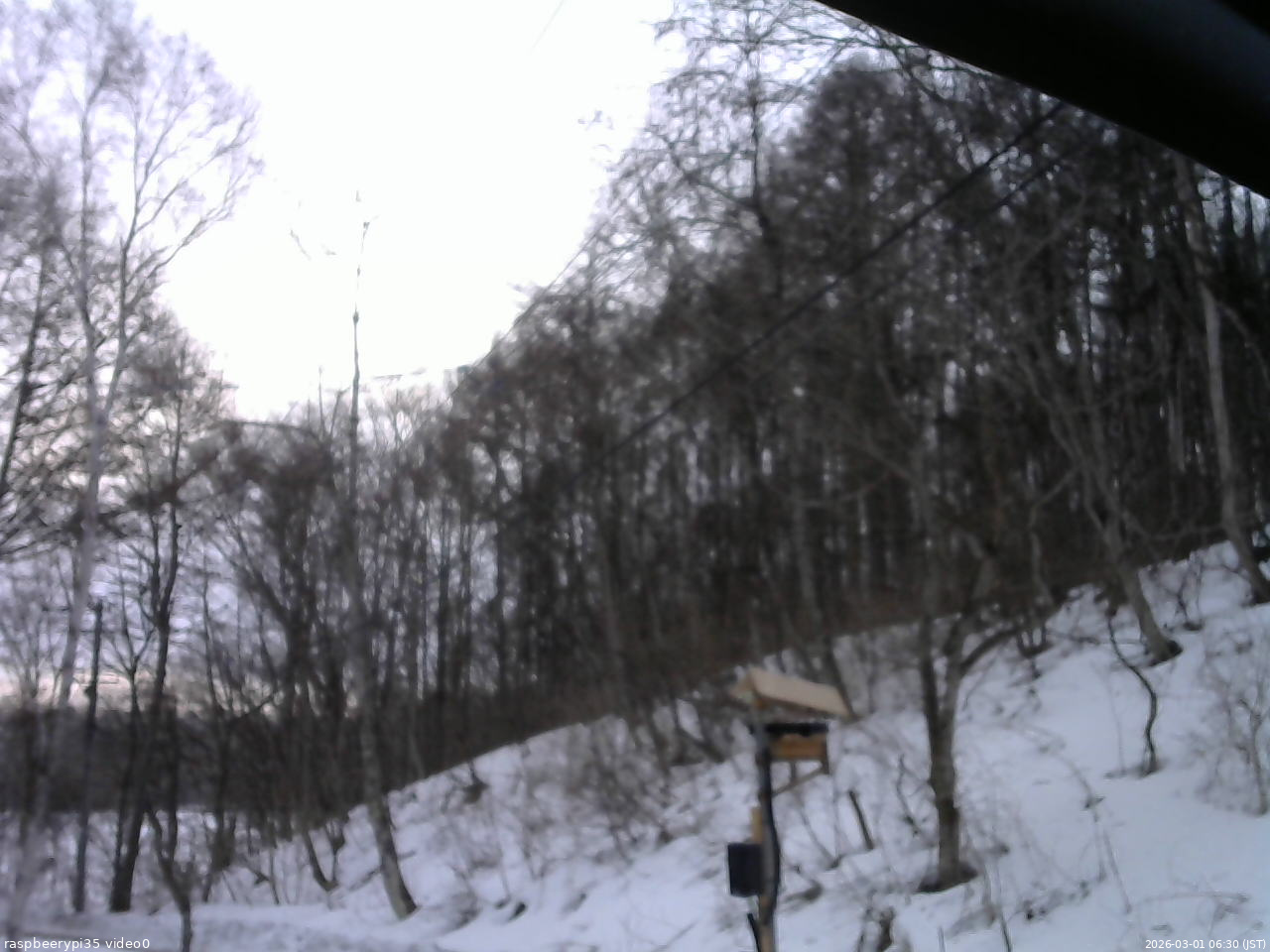長野県菅平高原 ゆたか山荘 温度計 2026/03/01 06:30