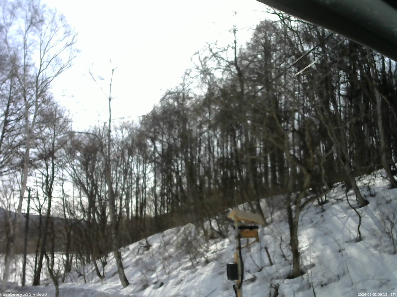 長野県菅平高原 ゆたか山荘 温度計 2026/03/01 09:15
