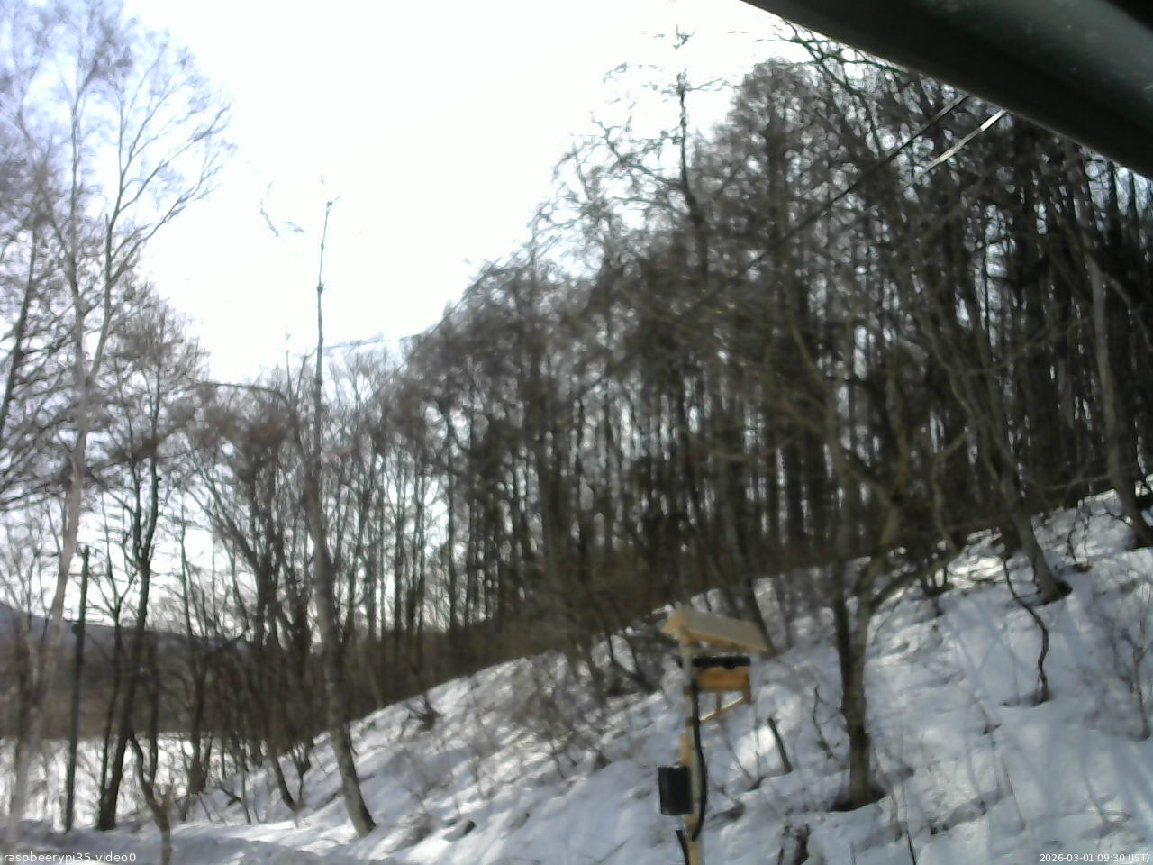 長野県菅平高原 ゆたか山荘 温度計 2026/03/01 09:30