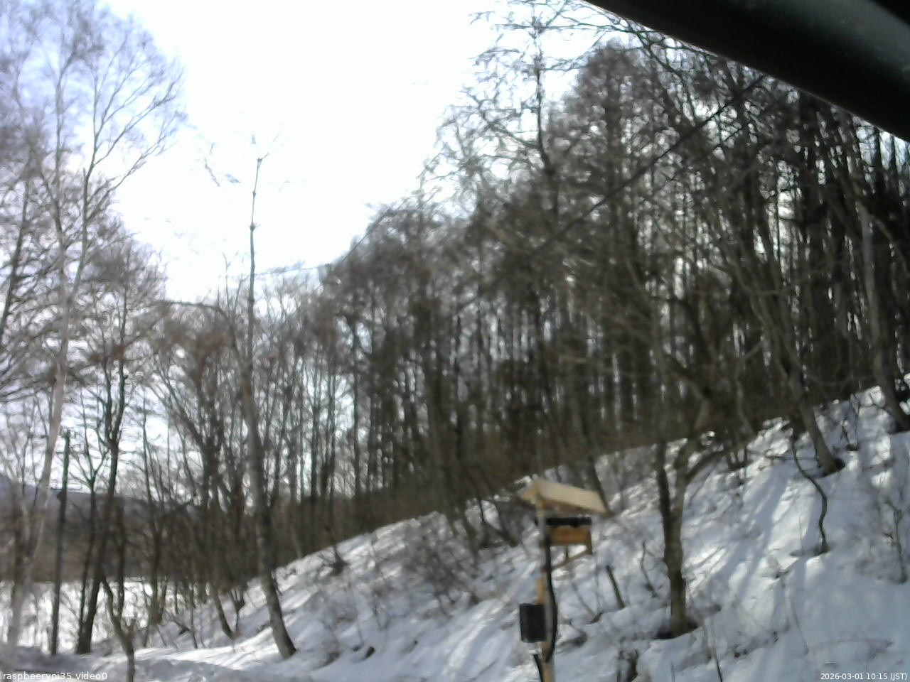 長野県菅平高原 ゆたか山荘 温度計 2026/03/01 10:15