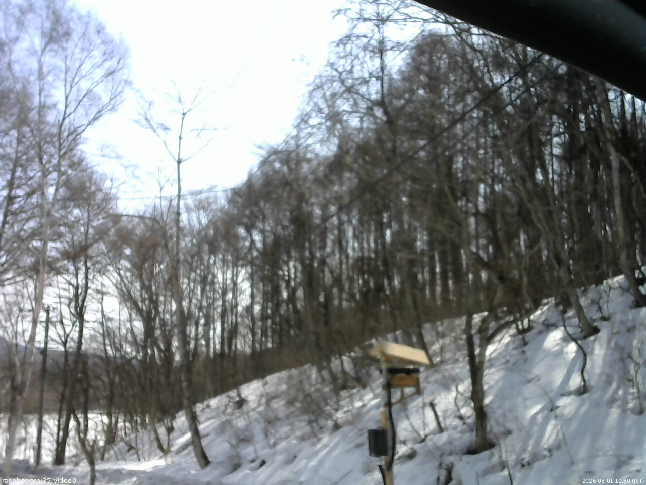長野県菅平高原 ゆたか山荘 温度計 2026/03/01 10:30