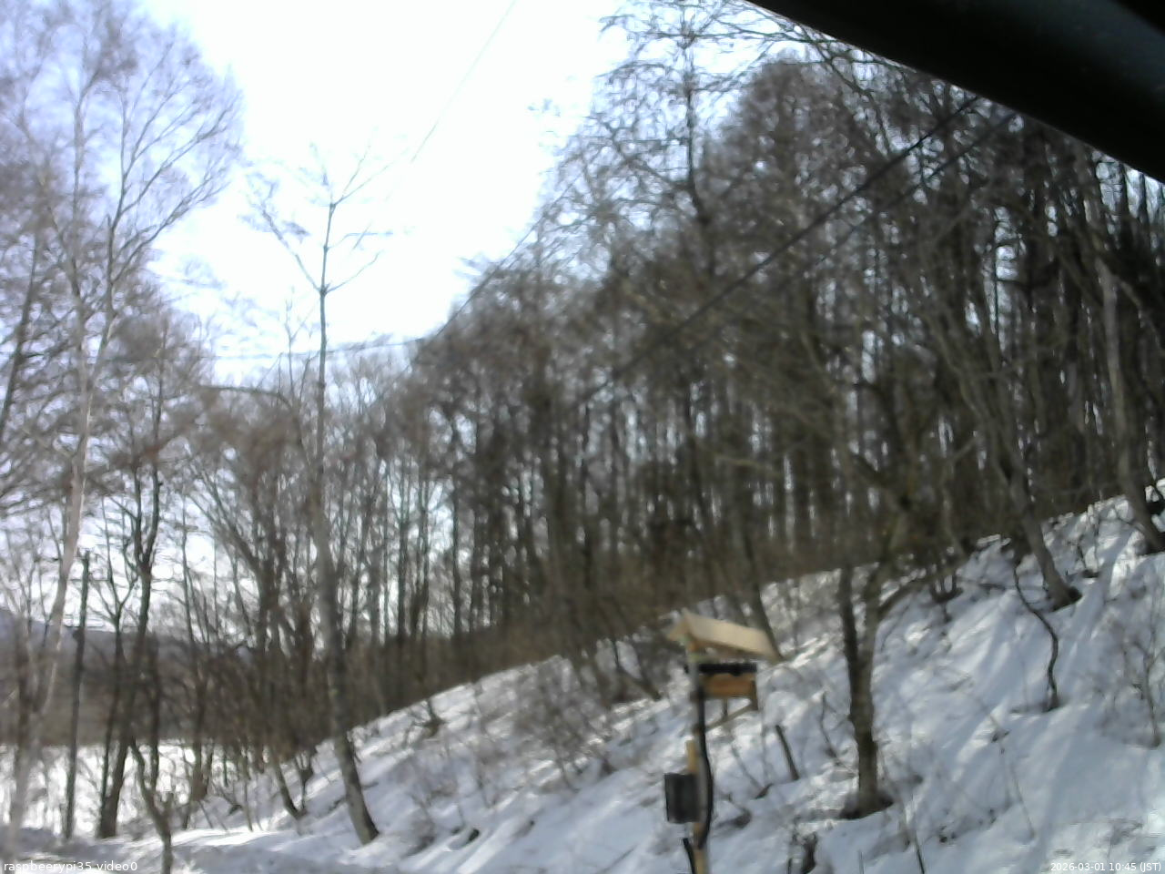 長野県菅平高原 ゆたか山荘 温度計 2026/03/01 10:45