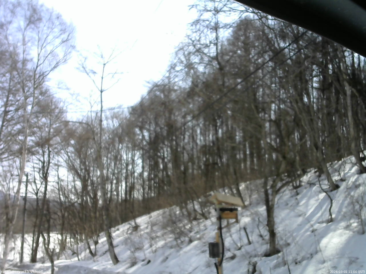 長野県菅平高原 ゆたか山荘 温度計 2026/03/01 11:00