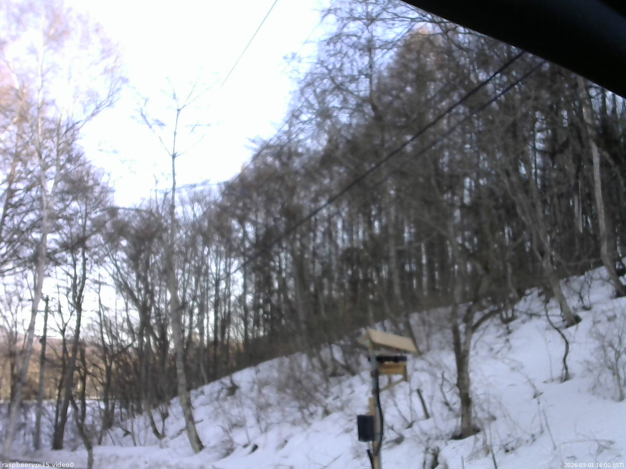 長野県菅平高原 ゆたか山荘 温度計 2026/03/01 16:00