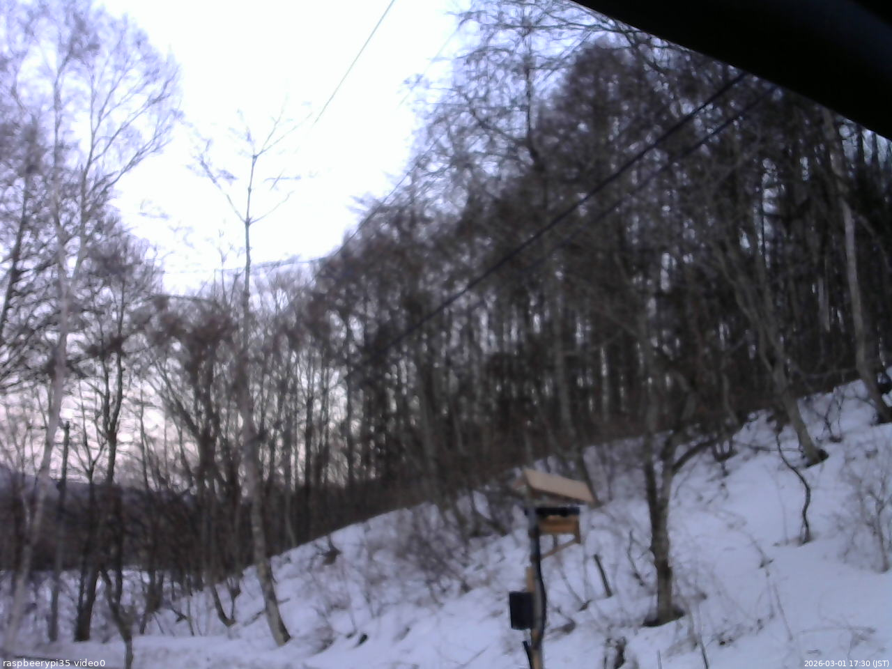 長野県菅平高原 ゆたか山荘 温度計 2026/03/01 17:30