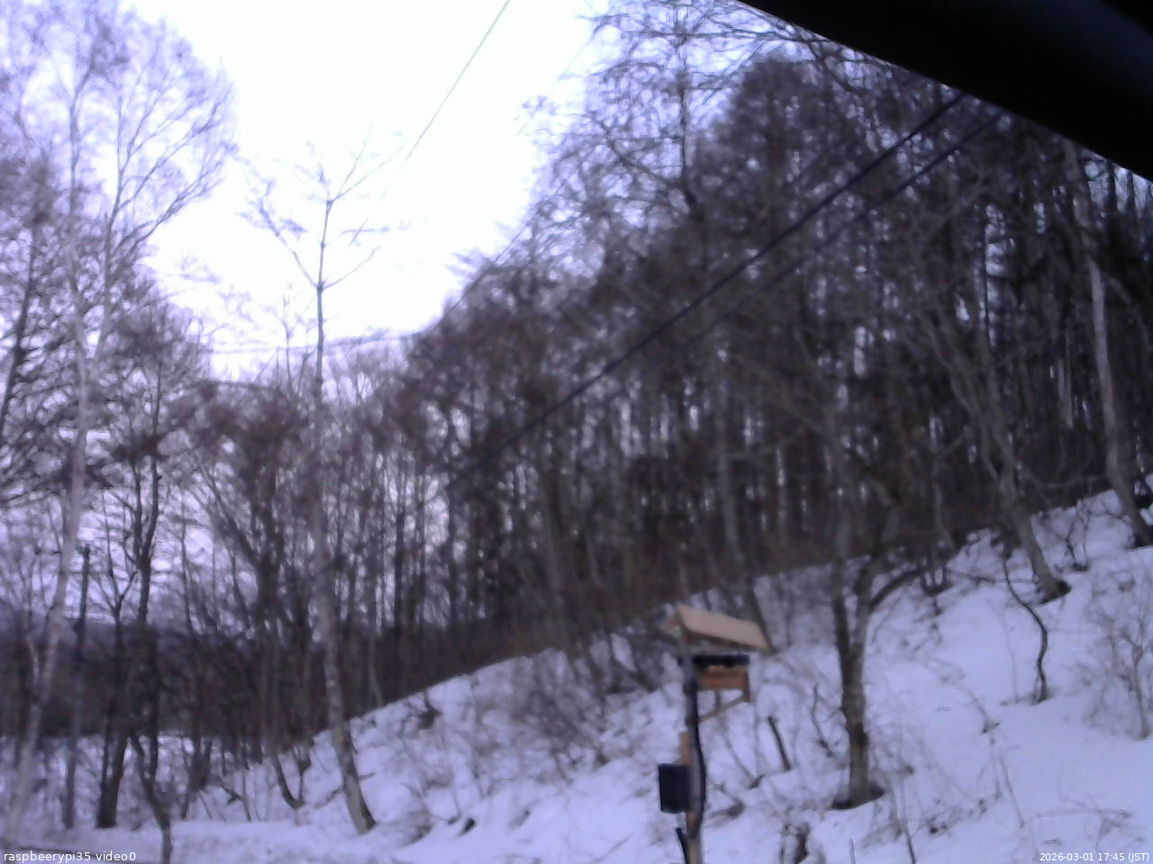 長野県菅平高原 ゆたか山荘 温度計 2026/03/01 17:45
