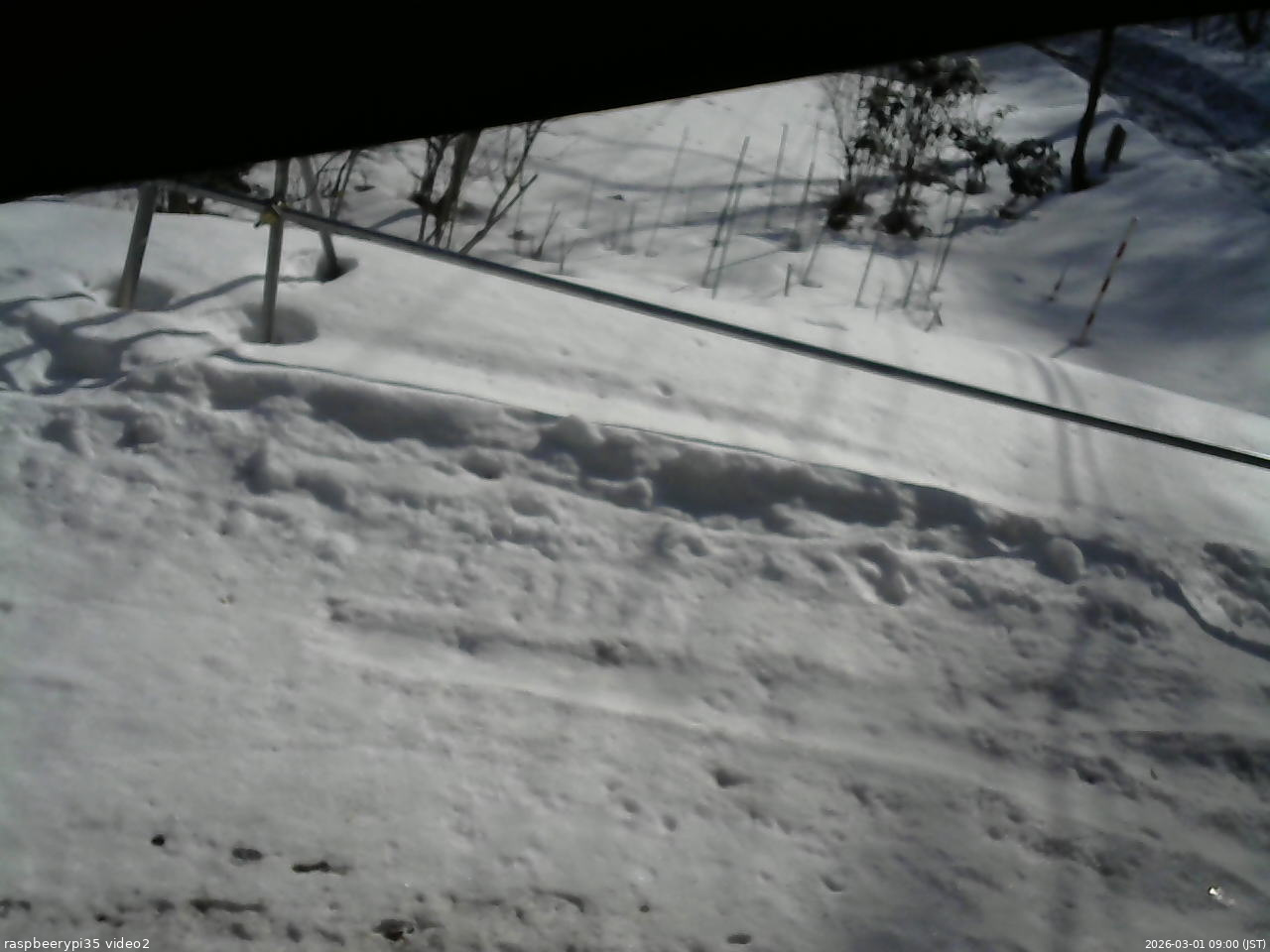 長野県菅平高原 ゆたか山荘 駐車場 2026/03/01 09:00