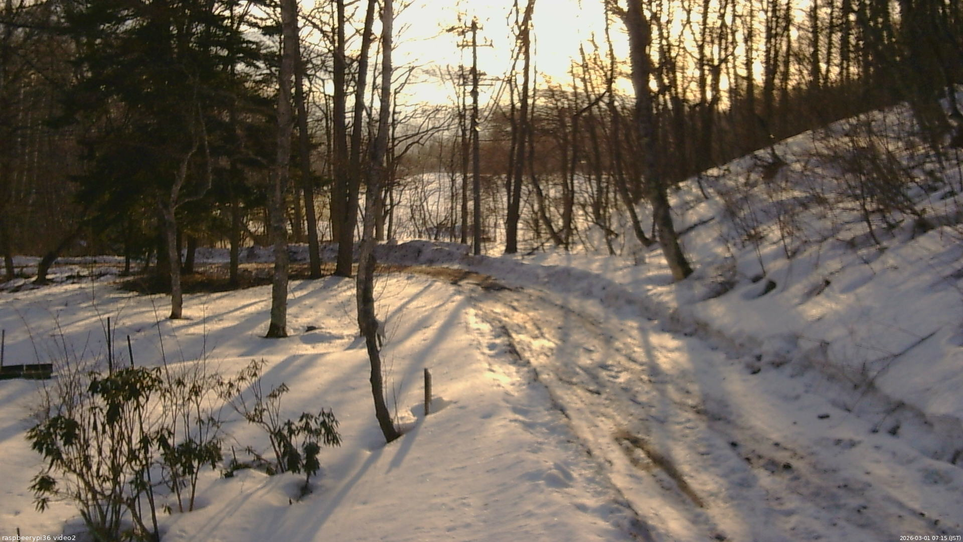 長野県菅平高原 ゆたか山荘 駐車場奥 2026/03/01 07:15