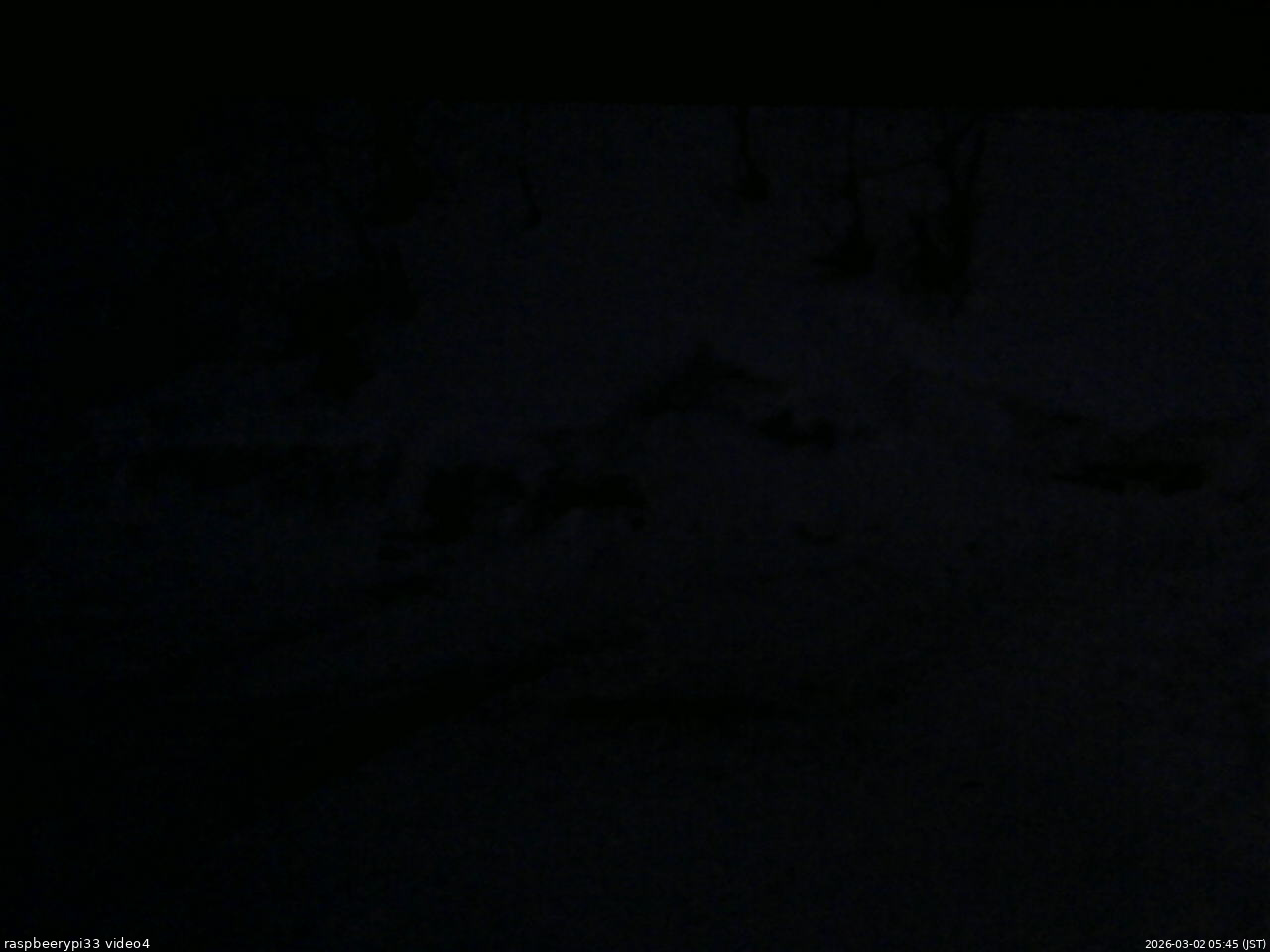 長野県菅平高原 ゆたか山荘 東側(坂下) 2026/03/02 05:45