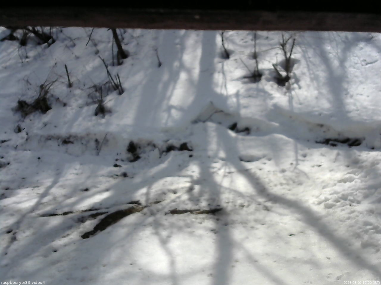 長野県菅平高原 ゆたか山荘 東側(坂下) 2026/03/02 12:00