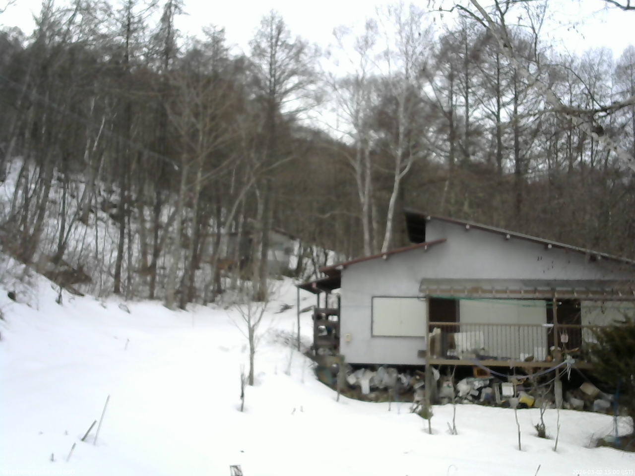長野県菅平高原 ゆたか山荘 西側(坂上) 2026/03/02 15:00