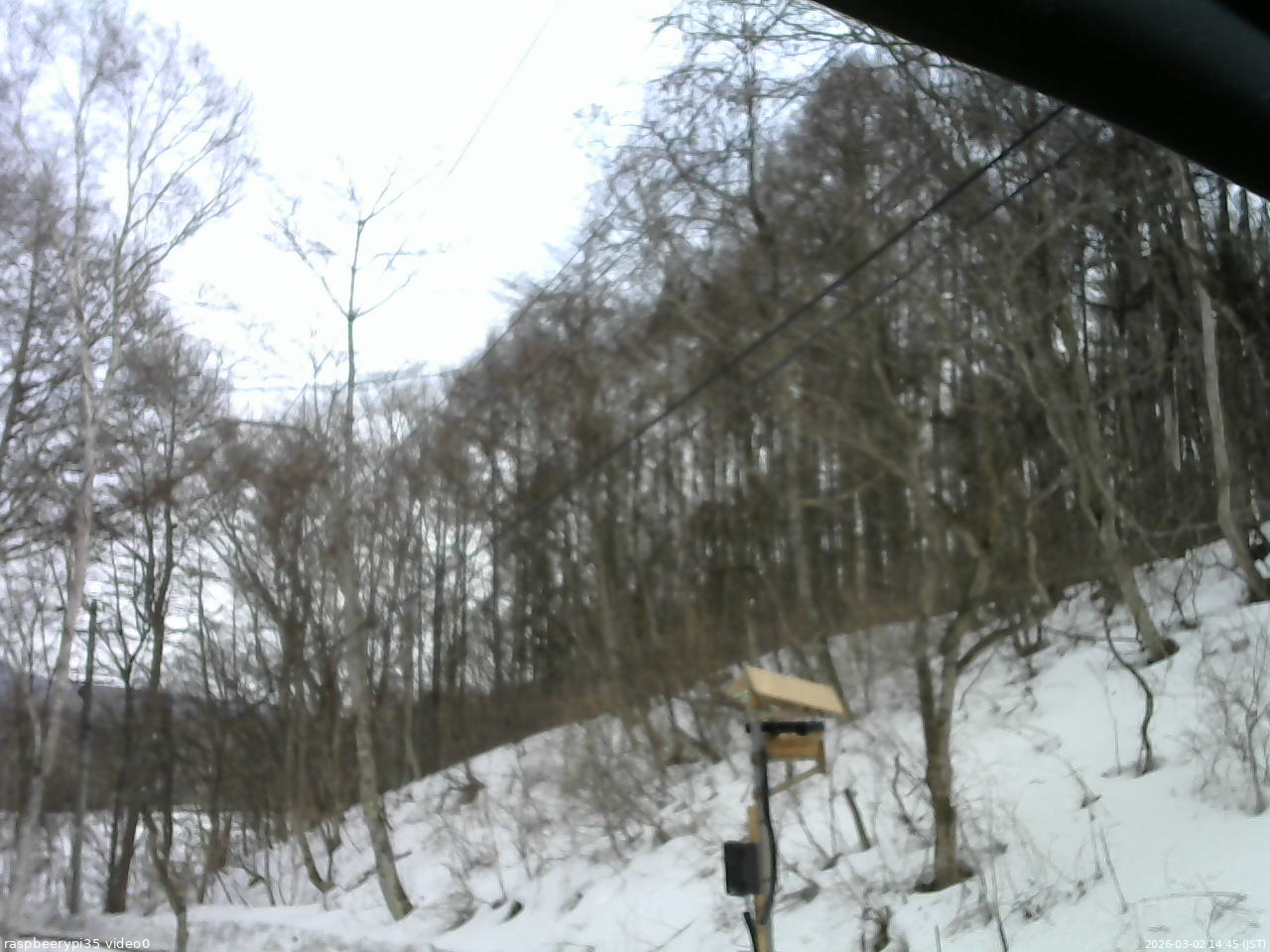 長野県菅平高原 ゆたか山荘 温度計 2026/03/02 14:45