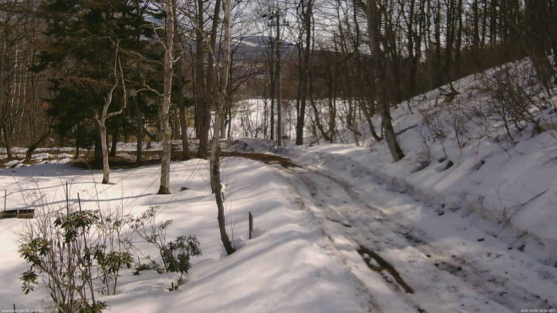 長野県菅平高原 ゆたか山荘 駐車場奥 2026/03/02 10:45