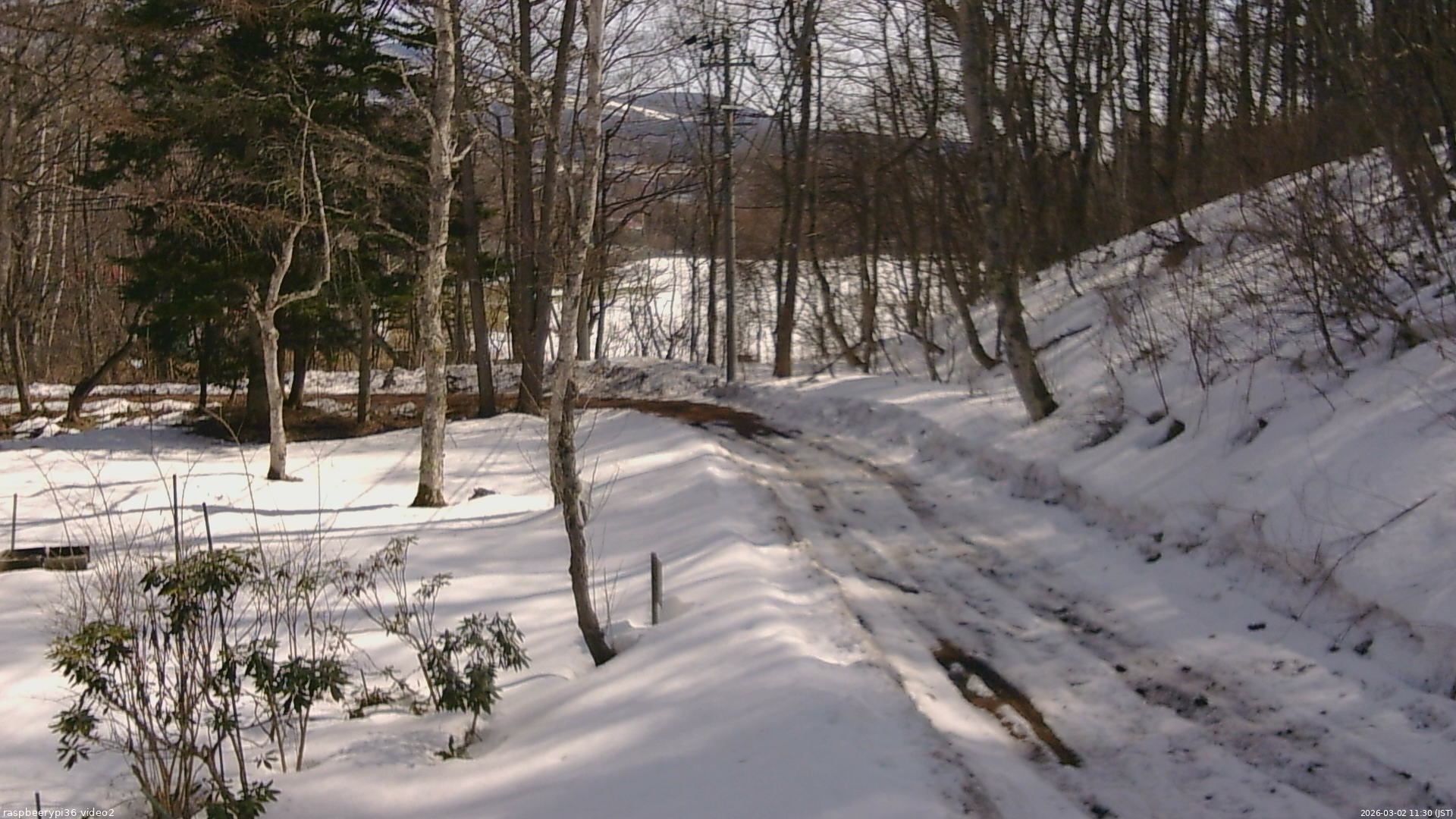 長野県菅平高原 ゆたか山荘 駐車場奥 2026/03/02 11:30