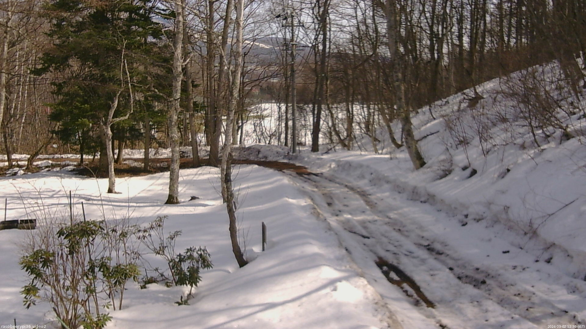 長野県菅平高原 ゆたか山荘 駐車場奥 2026/03/02 12:30