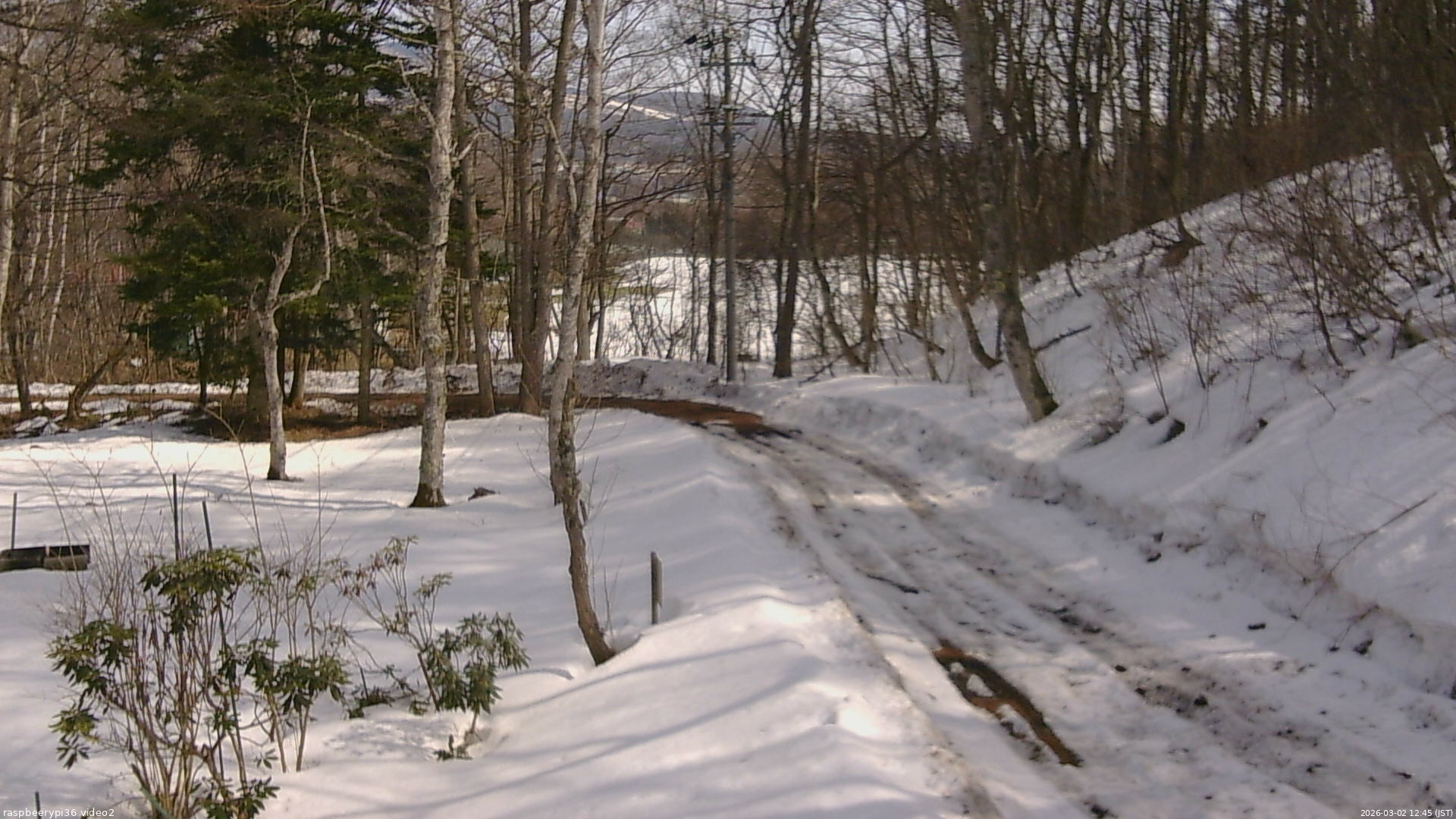 長野県菅平高原 ゆたか山荘 駐車場奥 2026/03/02 12:45