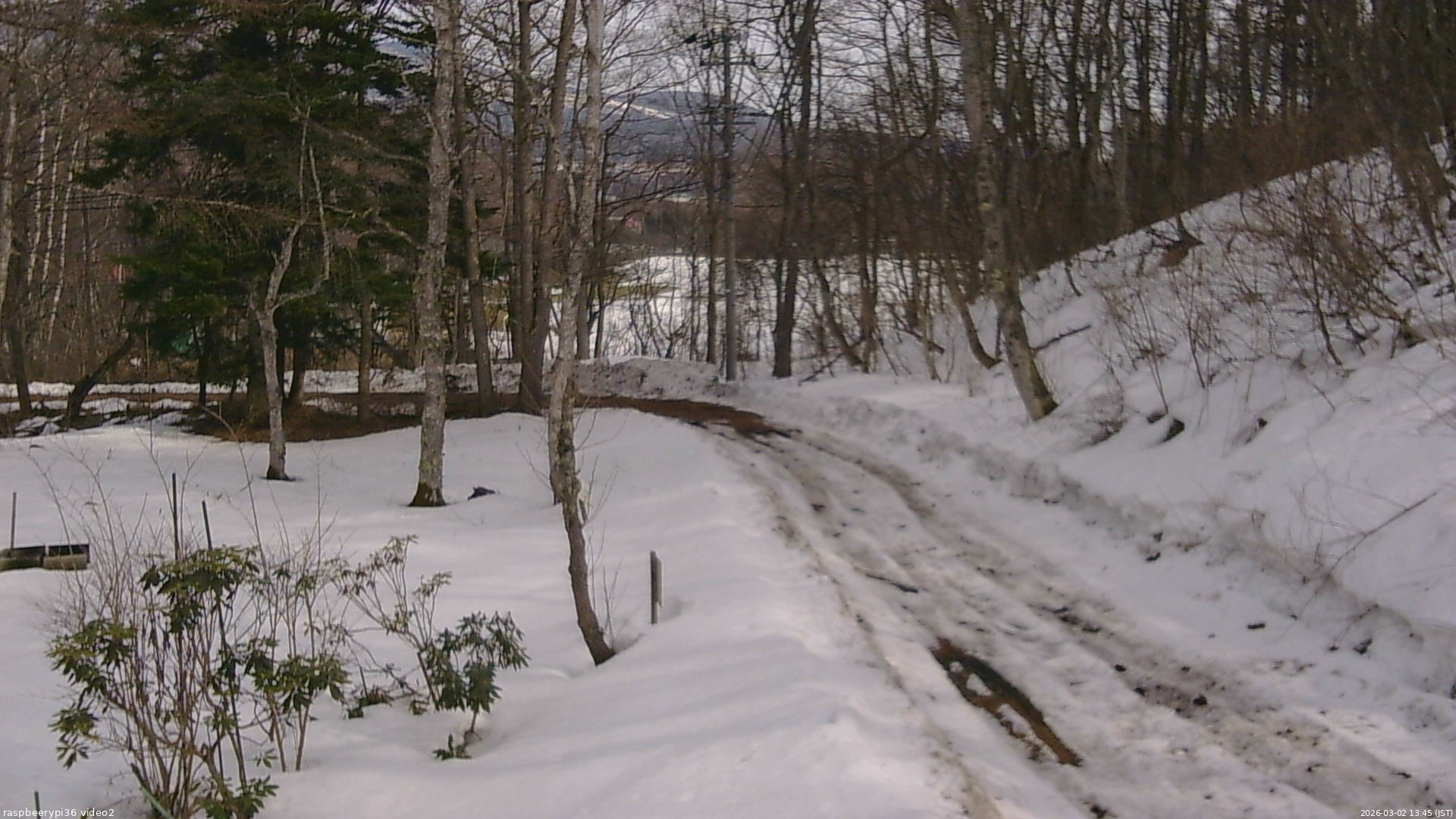 長野県菅平高原 ゆたか山荘 駐車場奥 2026/03/02 13:45
