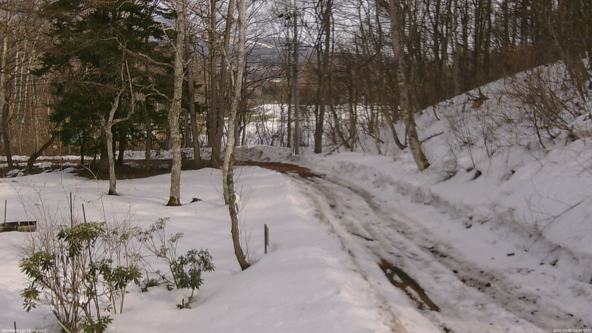 長野県菅平高原 ゆたか山荘 駐車場奥 2026/03/02 14:30