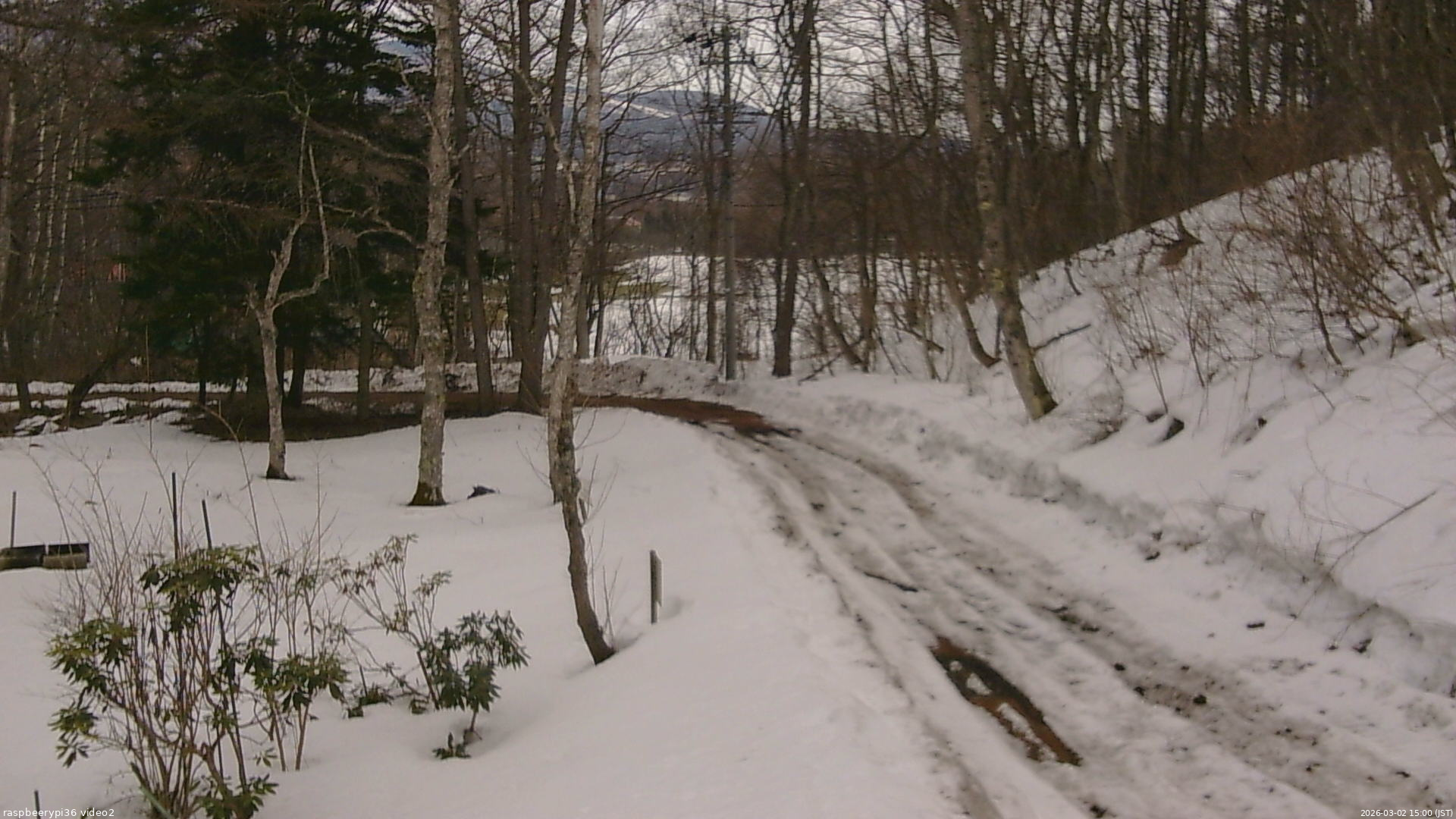 長野県菅平高原 ゆたか山荘 駐車場奥 2026/03/02 15:00