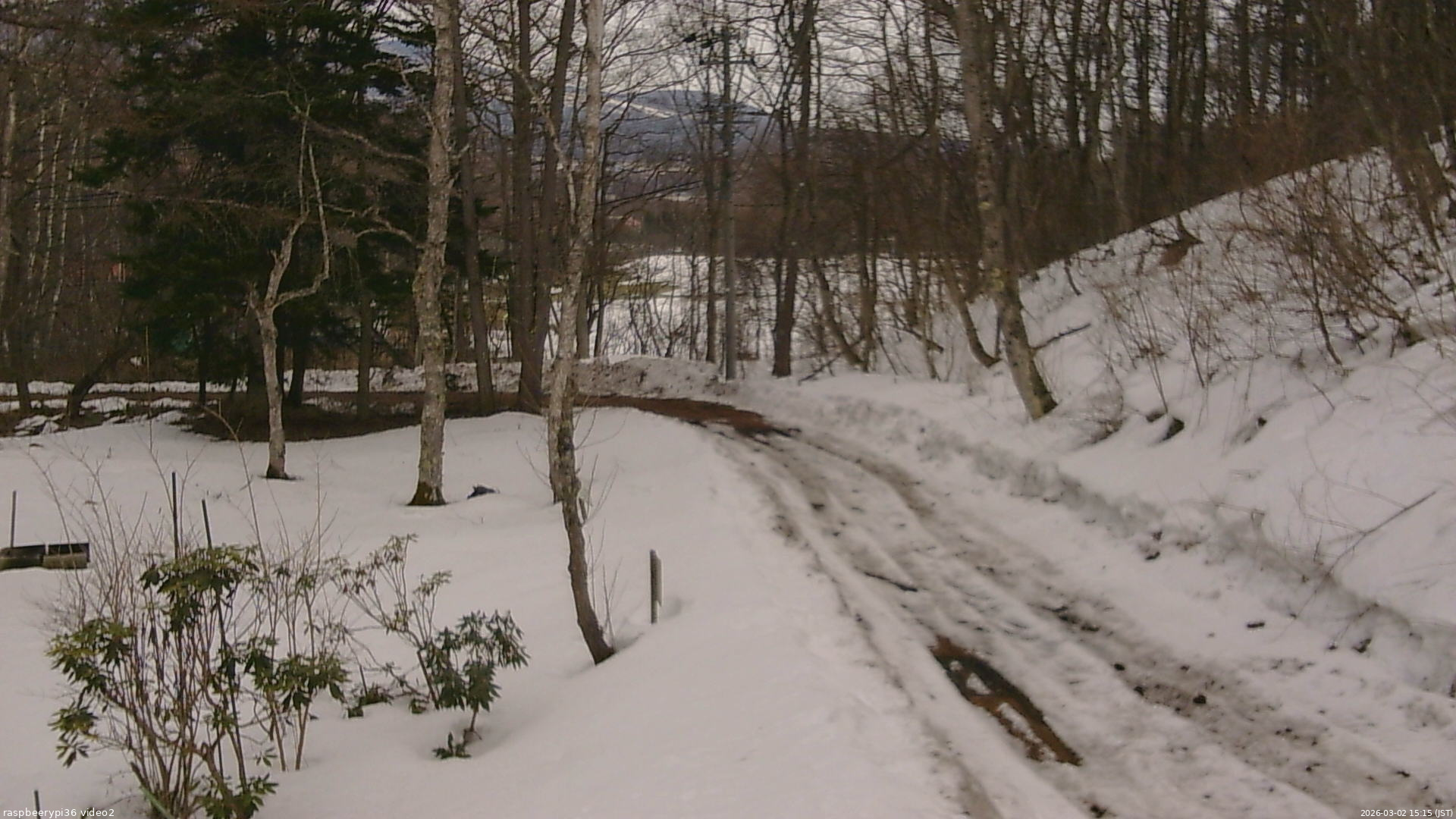 長野県菅平高原 ゆたか山荘 駐車場奥 2026/03/02 15:15
