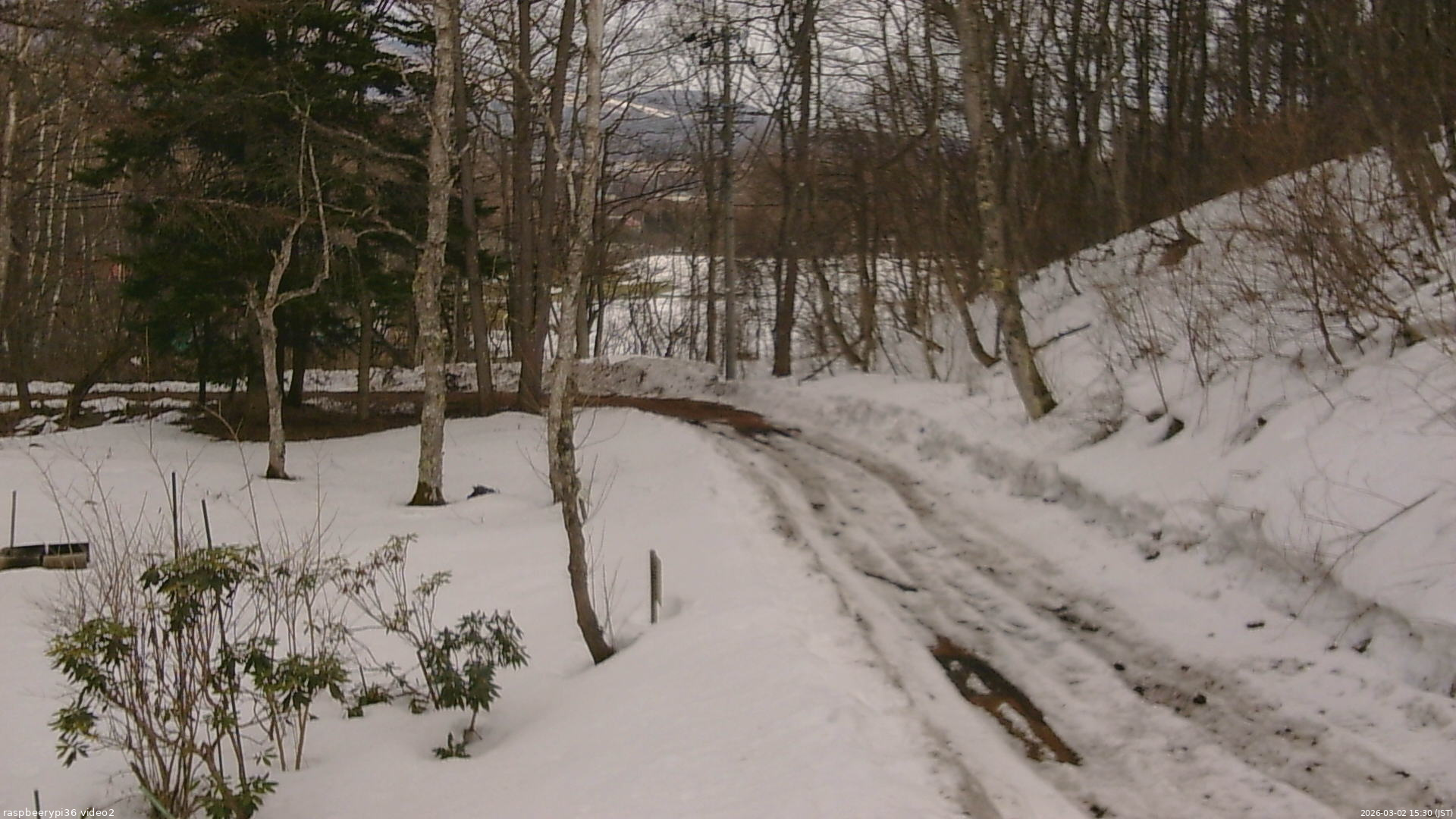長野県菅平高原 ゆたか山荘 駐車場奥 2026/03/02 15:30