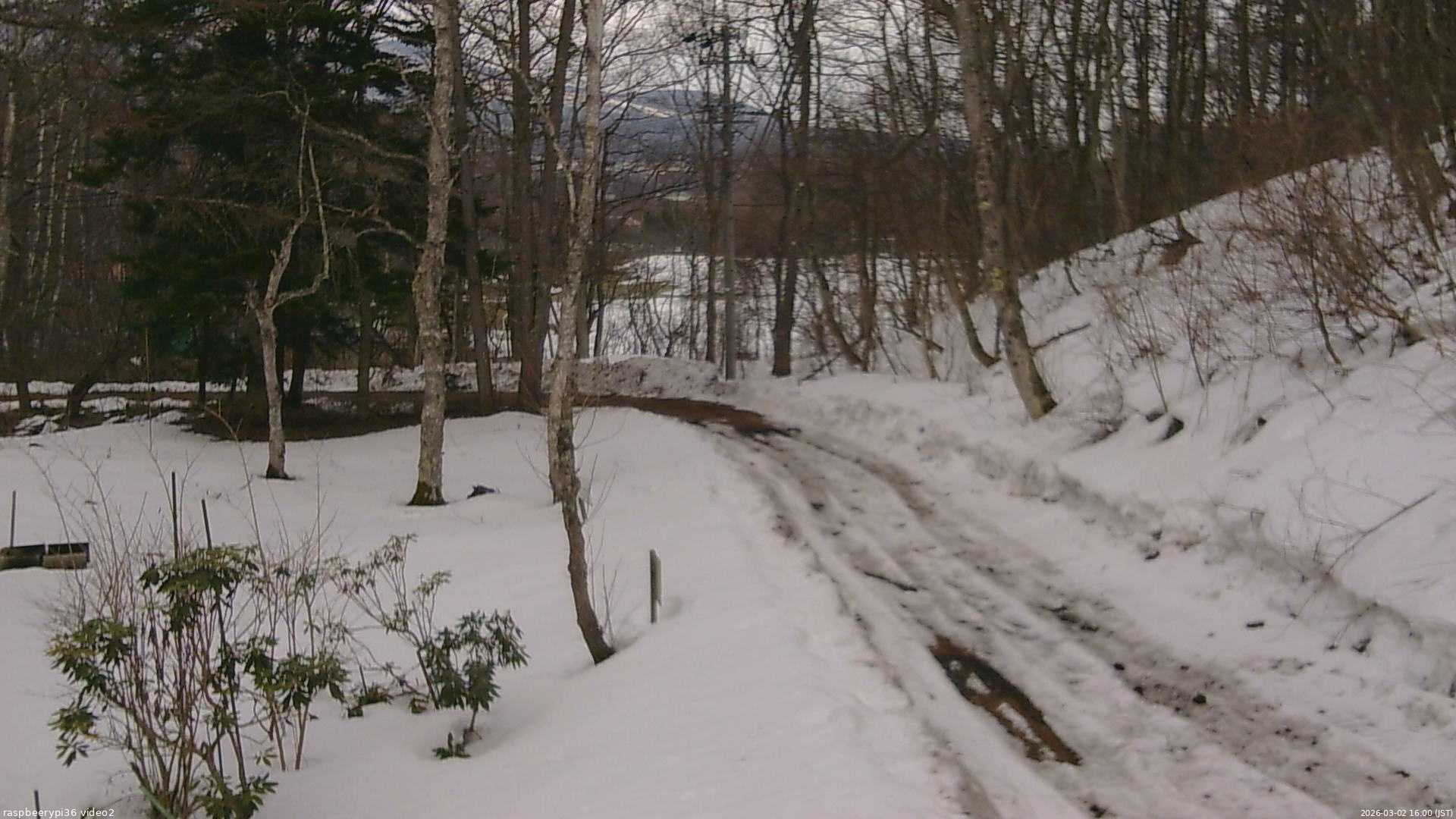 長野県菅平高原 ゆたか山荘 駐車場奥 2026/03/02 16:00