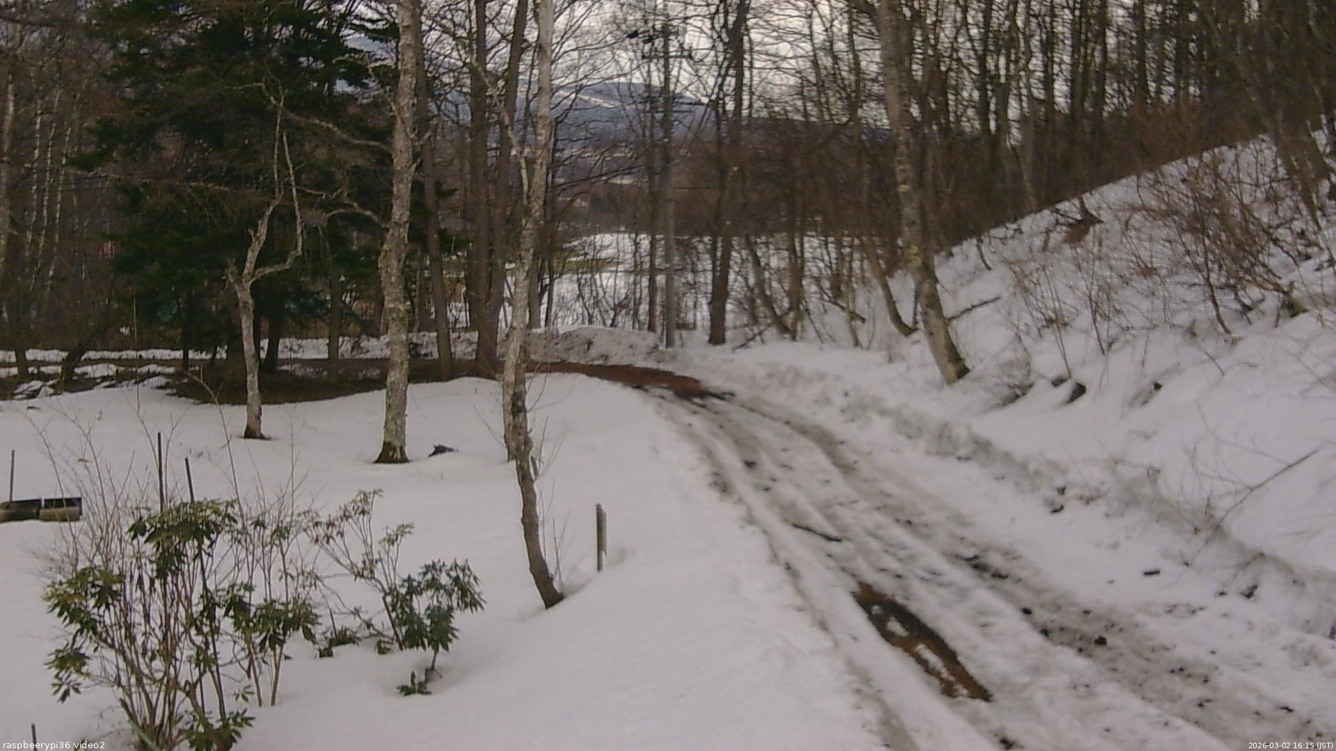 長野県菅平高原 ゆたか山荘 駐車場奥 2026/03/02 16:15