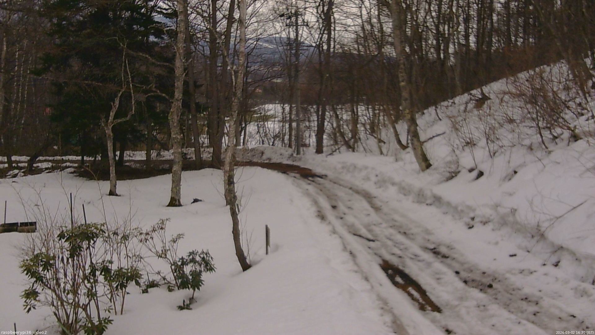 長野県菅平高原 ゆたか山荘 駐車場奥 2026/03/02 16:30