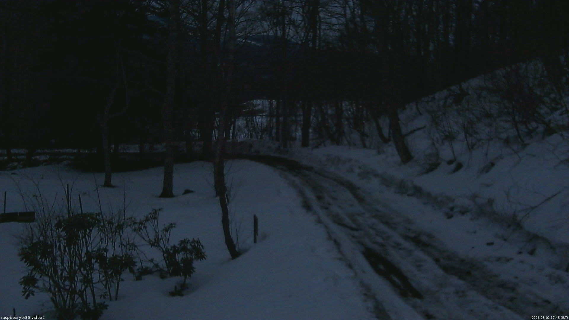 長野県菅平高原 ゆたか山荘 駐車場奥 2026/03/02 17:45
