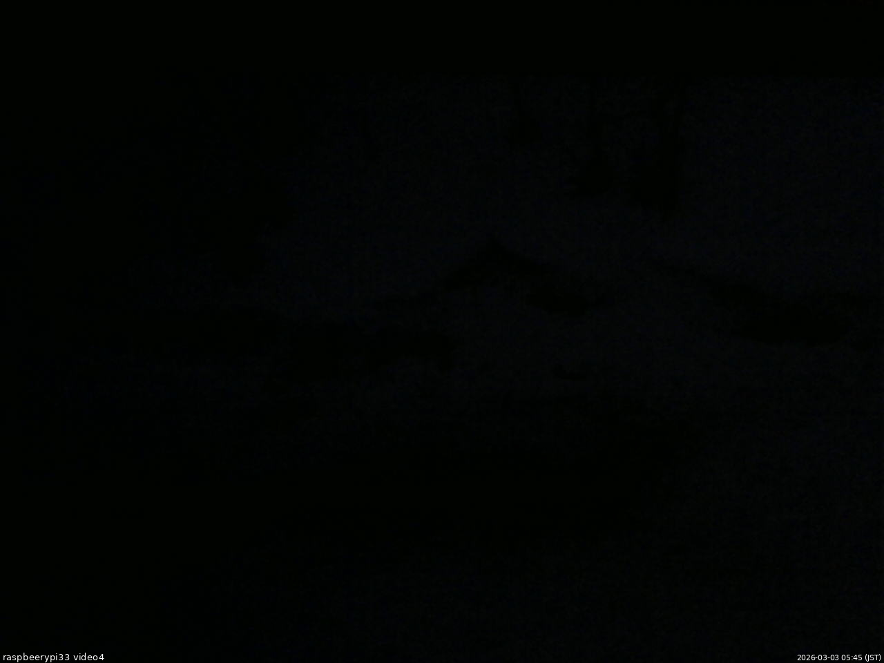 長野県菅平高原 ゆたか山荘 東側(坂下) 2026/03/03 05:45