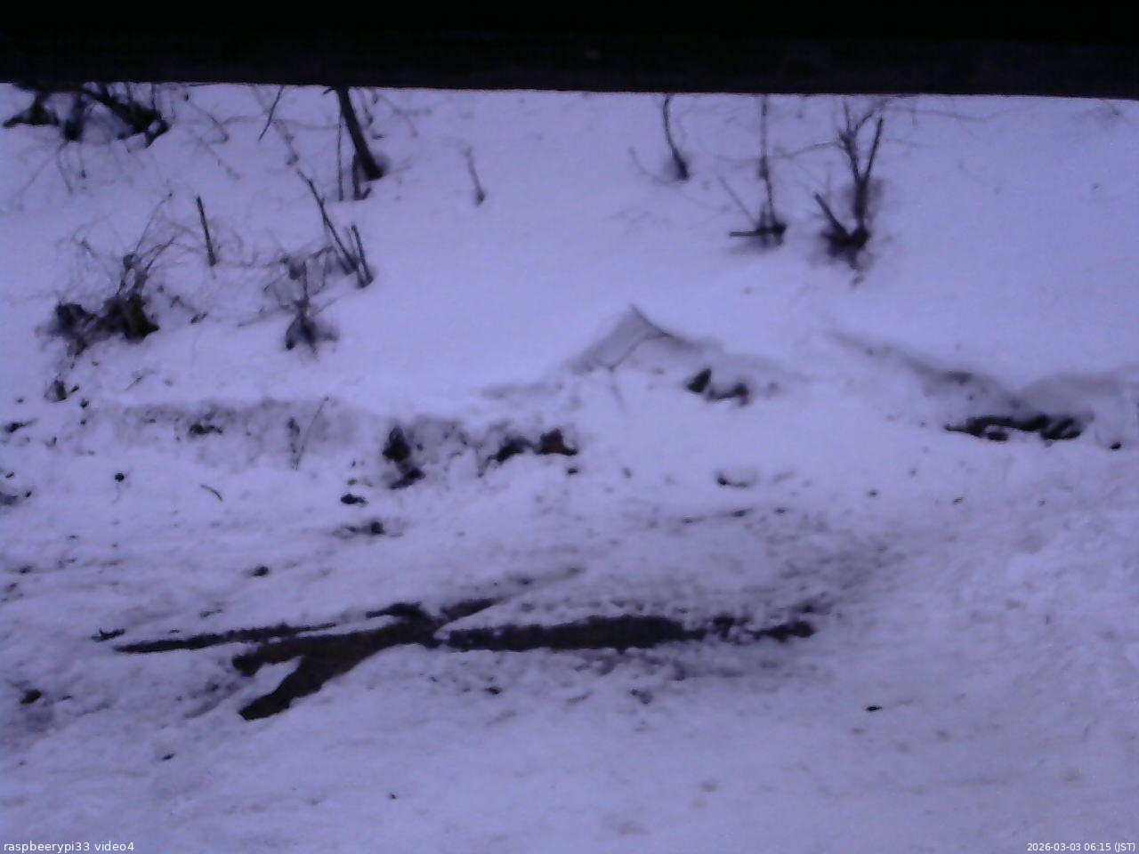 長野県菅平高原 ゆたか山荘 東側(坂下) 2026/03/03 06:15