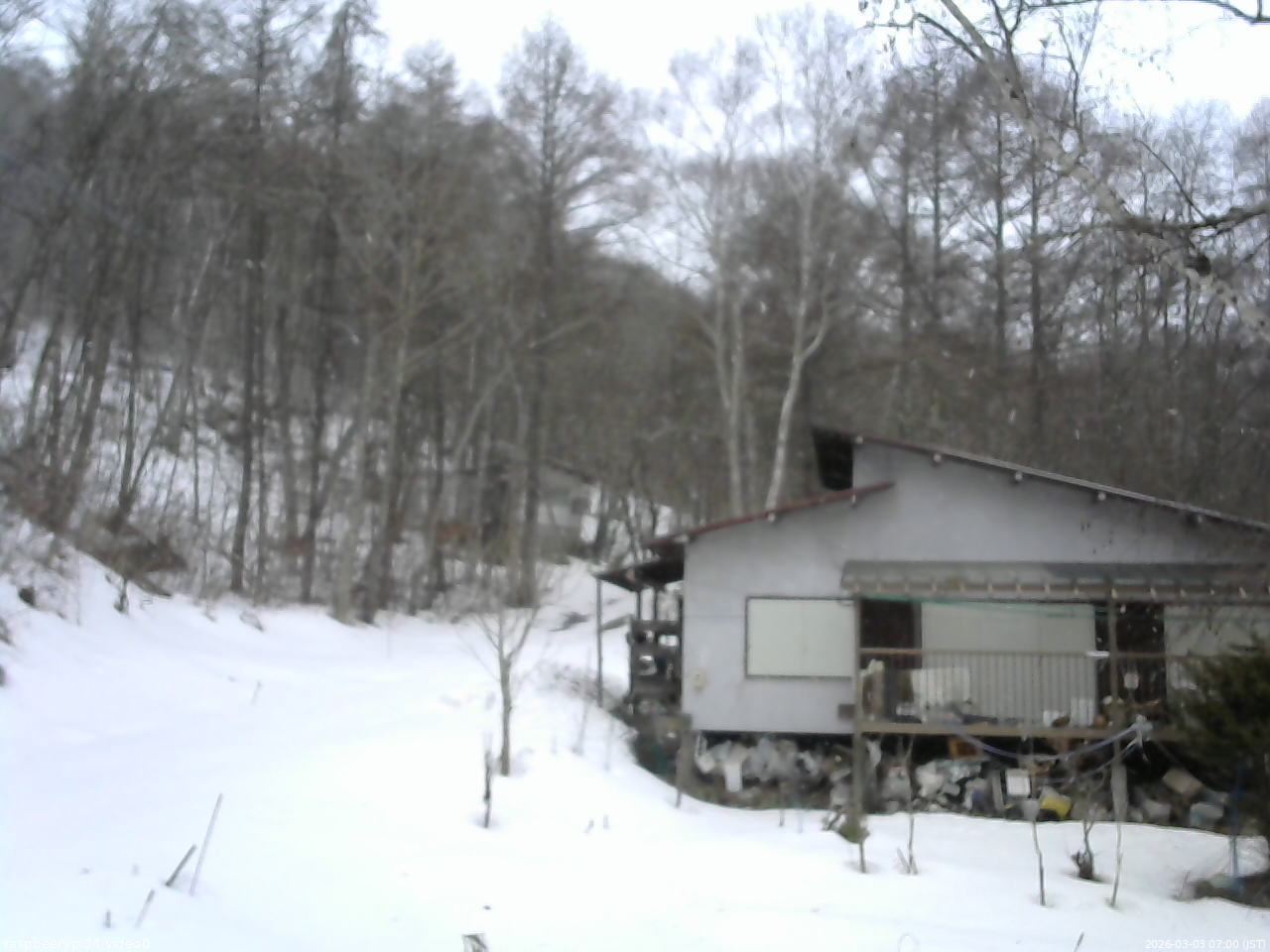長野県菅平高原 ゆたか山荘 西側(坂上) 2026/03/03 07:00
