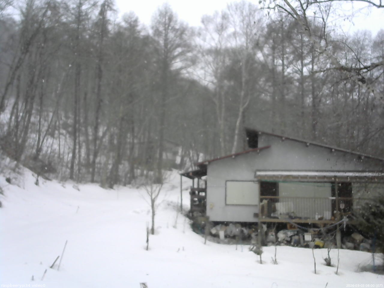 長野県菅平高原 ゆたか山荘 西側(坂上) 2026/03/03 08:00