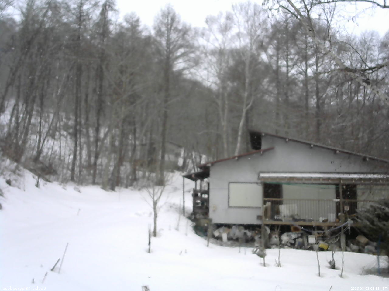 長野県菅平高原 ゆたか山荘 西側(坂上) 2026/03/03 08:15