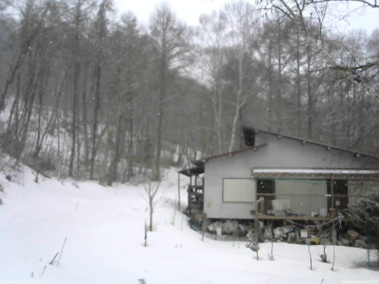 長野県菅平高原 ゆたか山荘 西側(坂上) 2026/03/03 08:30