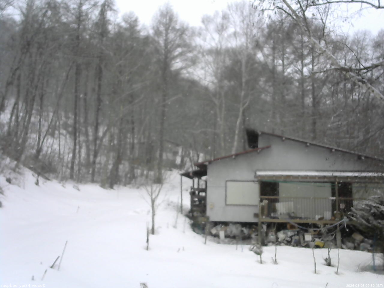 長野県菅平高原 ゆたか山荘 西側(坂上) 2026/03/03 09:30