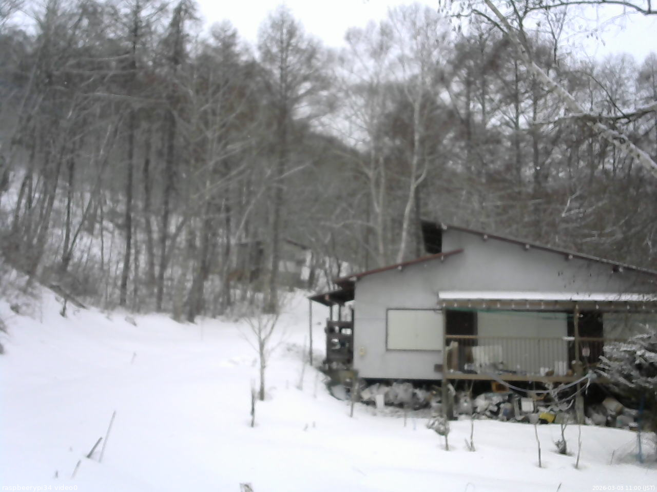 長野県菅平高原 ゆたか山荘 西側(坂上) 2026/03/03 11:00