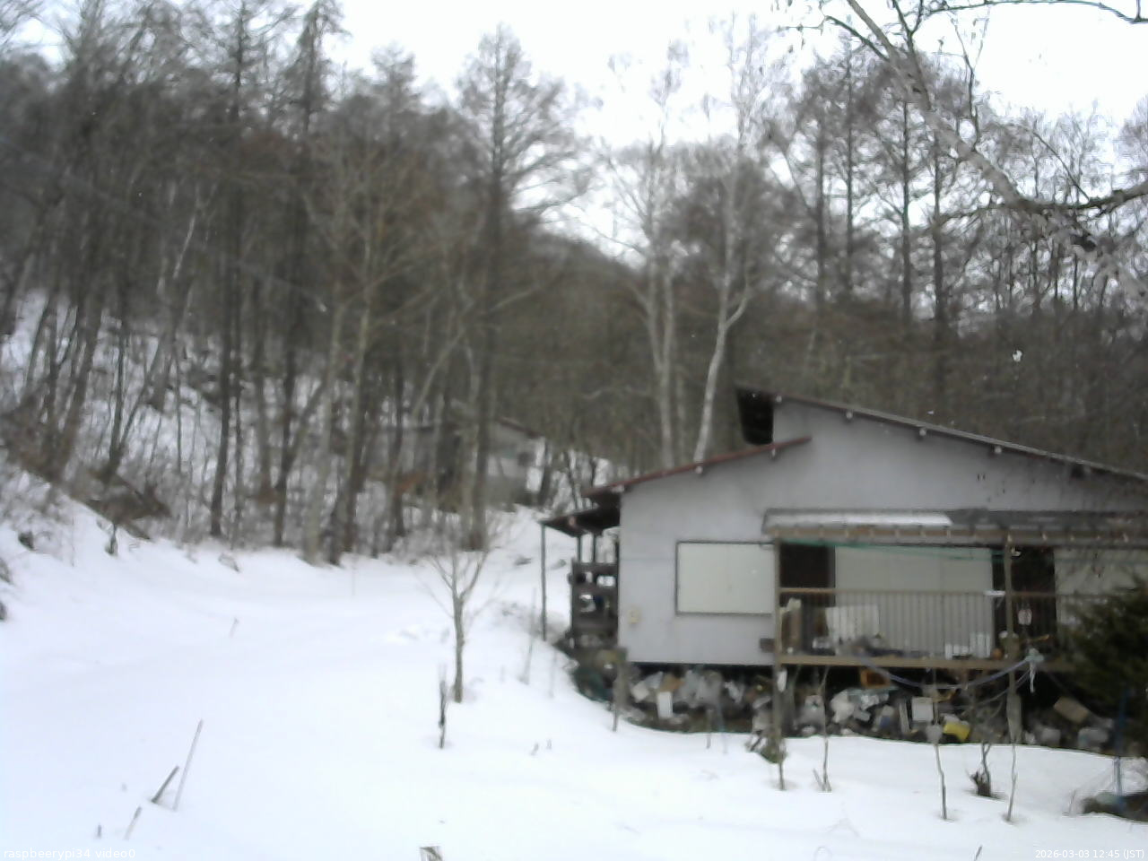 長野県菅平高原 ゆたか山荘 西側(坂上) 2026/03/03 12:45
