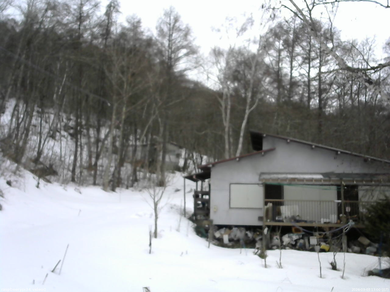 長野県菅平高原 ゆたか山荘 西側(坂上) 2026/03/03 13:00