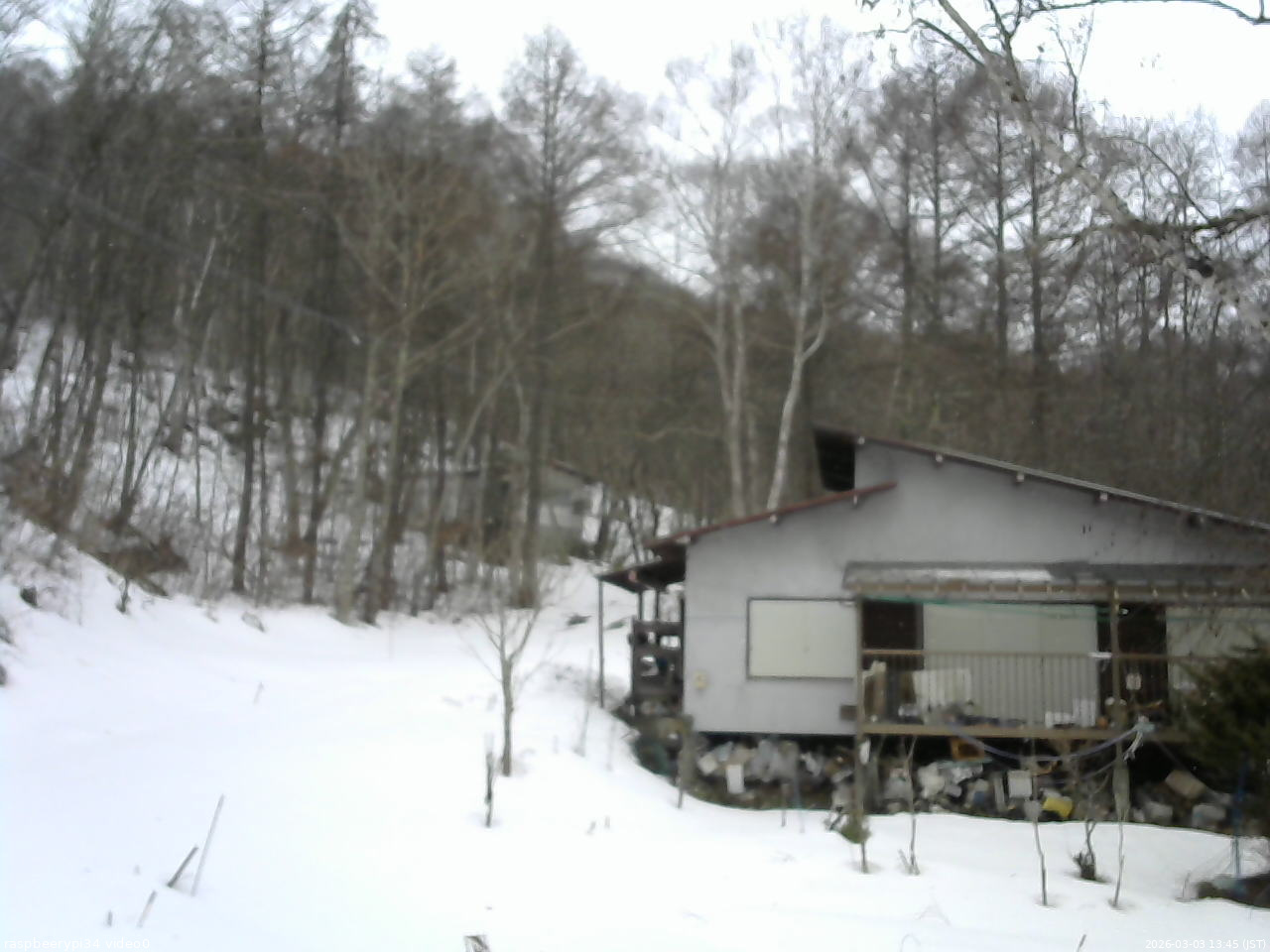 長野県菅平高原 ゆたか山荘 西側(坂上) 2026/03/03 13:45