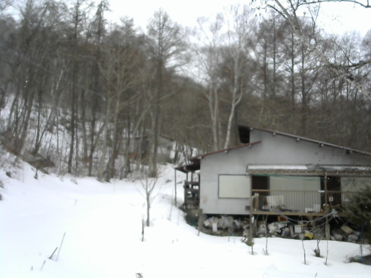 長野県菅平高原 ゆたか山荘 西側(坂上) 2026/03/03 15:30