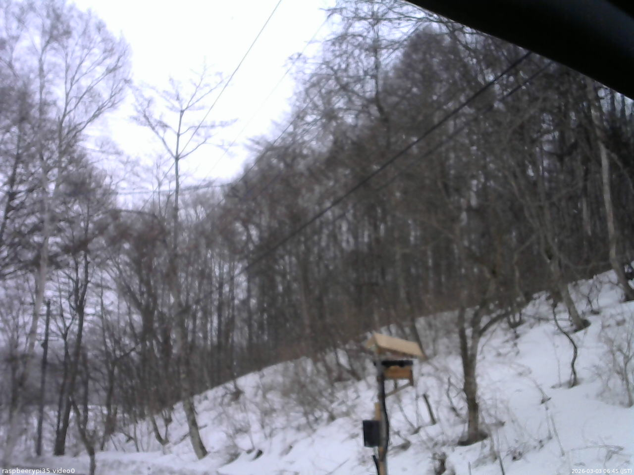 長野県菅平高原 ゆたか山荘 温度計 2026/03/03 06:45