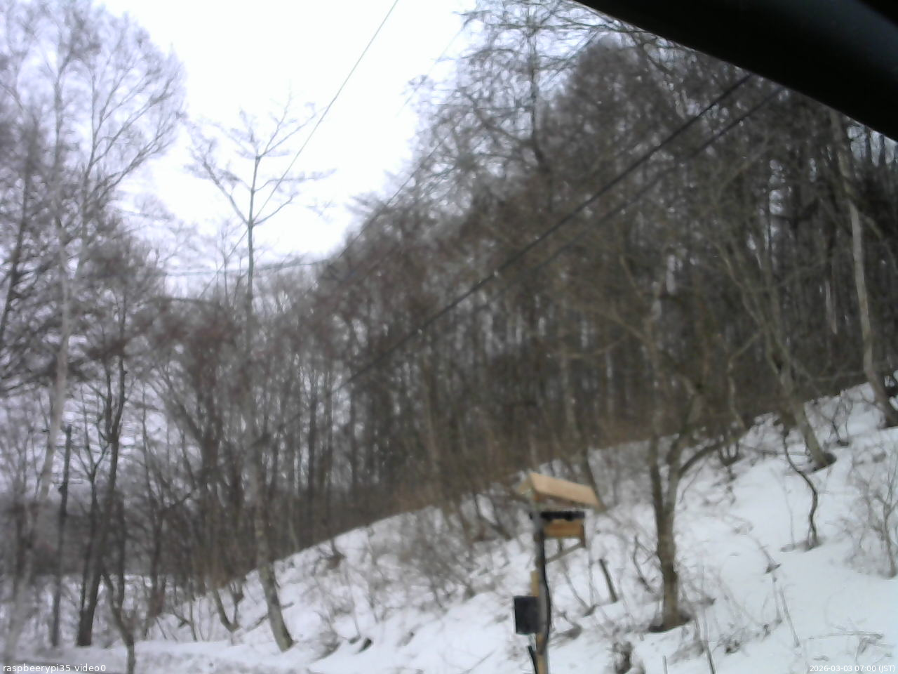 長野県菅平高原 ゆたか山荘 温度計 2026/03/03 07:00