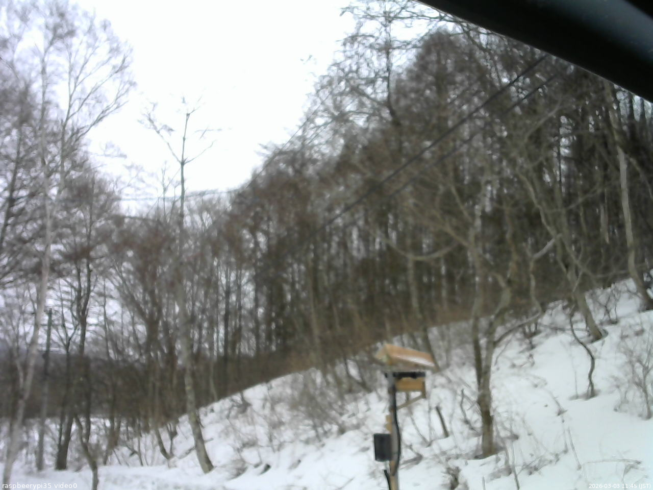 長野県菅平高原 ゆたか山荘 温度計 2026/03/03 11:45