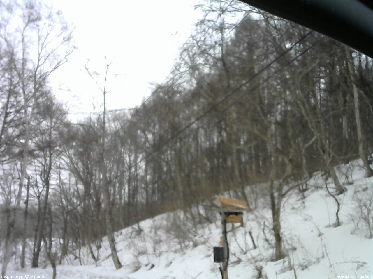 長野県菅平高原 ゆたか山荘 温度計 2026/03/03 12:00