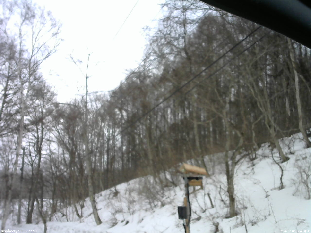 長野県菅平高原 ゆたか山荘 温度計 2026/03/03 12:45