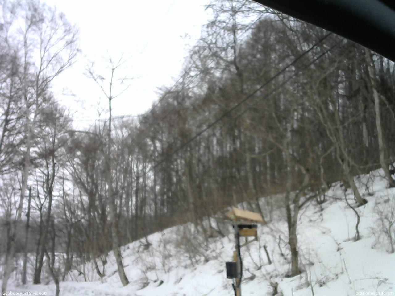 長野県菅平高原 ゆたか山荘 温度計 2026/03/03 13:30
