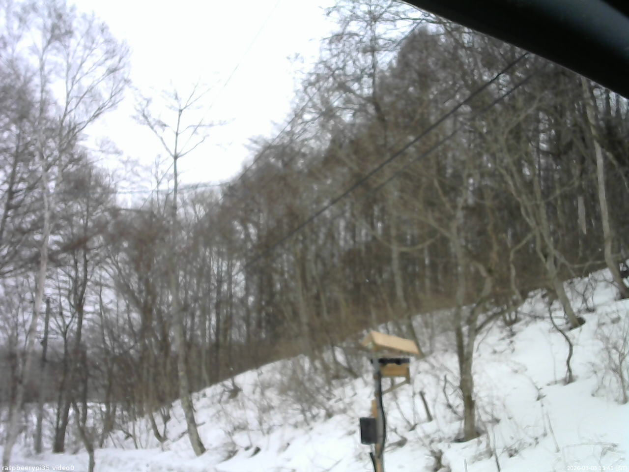 長野県菅平高原 ゆたか山荘 温度計 2026/03/03 13:45