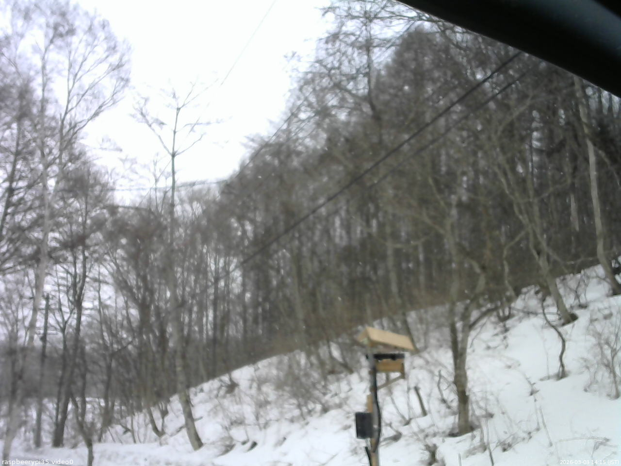 長野県菅平高原 ゆたか山荘 温度計 2026/03/03 14:15